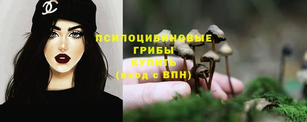 прущие крисы Вяземский