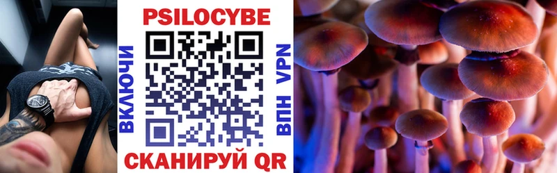 Галлюциногенные грибы MAGIC MUSHROOMS  где найти наркотики  Вологда 